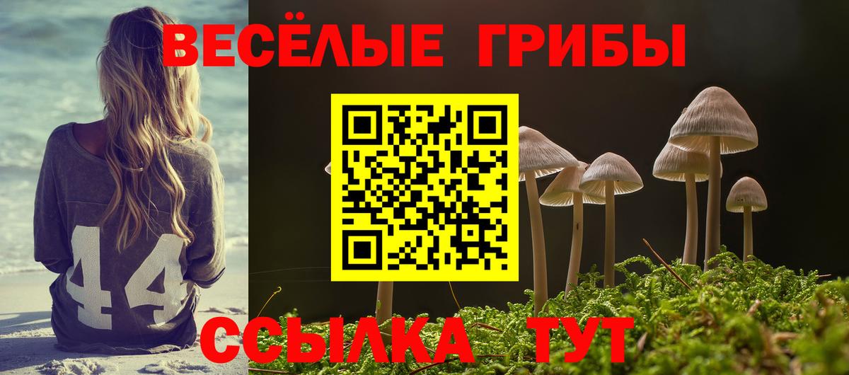 Псилоцибиновые грибы мицелий Воскресенск